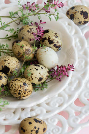 Quail eggs and wild flowers on white vintage plate