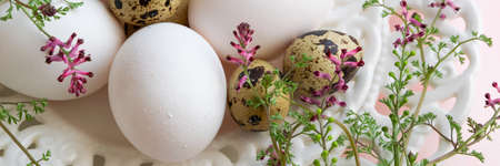 Mix of quail eggs and hen eggs on white vintage plate
