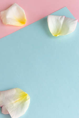 Fresh pastel colors background with rose petals, creation creative concept, space for text