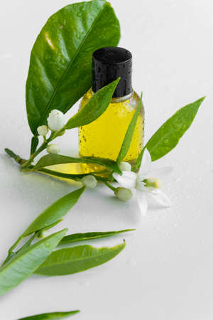 Essential oil with orange flowers. Hygiene bath product. Wellness therapy regenerationの写真素材