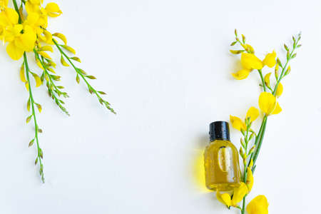 Essential oil with gorse flower extract. Hygiene bath product. Wellness therapy regenerationの写真素材