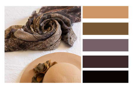 Autumn stylish woman outfit. Flatlay of woman dress and in a colour palette, with complimentary...