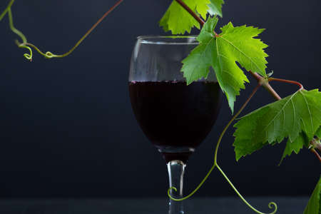Isolated glass of red wine on dark background and grape leaves