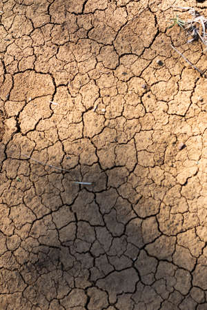 Texture dry cracked soil background pattern of drought lack of water