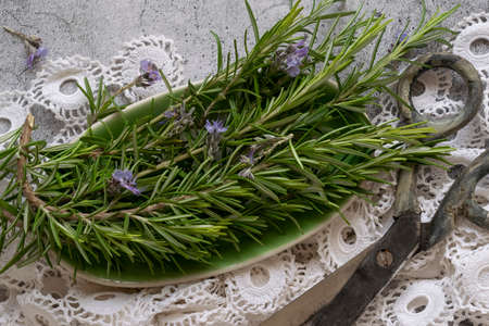 Close up of rosemary leaves, healthy herb food produce, food ingredientsの写真素材
