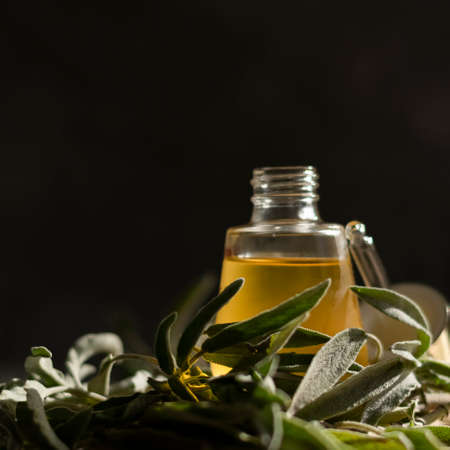 Essential oil with sage leaves extract. Hygiene bath product. Wellness therapy regenerationの写真素材