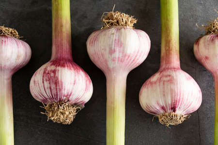 Fresh raw garlic on grey background
