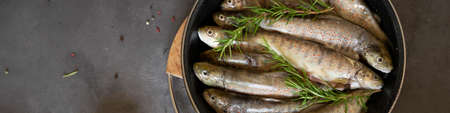 Raw wild salmon trout, healthy cooking ingredients on dark backgroundの写真素材
