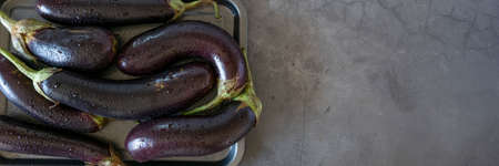 Raw purple aubergine on dark backgroundの写真素材