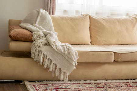 Home decor. Cozy stylish living room interior of modern apartment and trendy furniture. Contemporary...