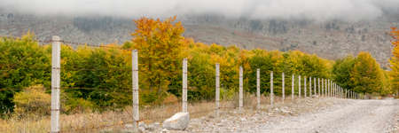Fall season in Albania. Colorful autumn forest landscape