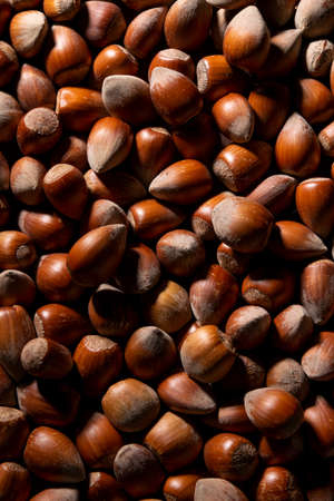 Close up of whole hazelnuts, protein rich ingredients, healthy eating conceptの写真素材