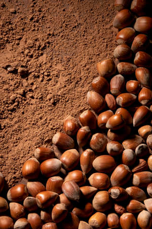 Dark food background by whole raw hazelnuts and cacao powderの写真素材