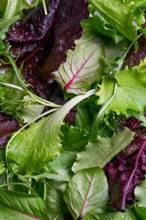 Close up view of fresh salad mix leaves, healthy organic food ingredients