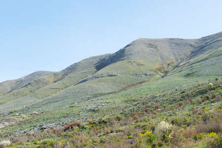 Wild nature view, scenic country landscape
