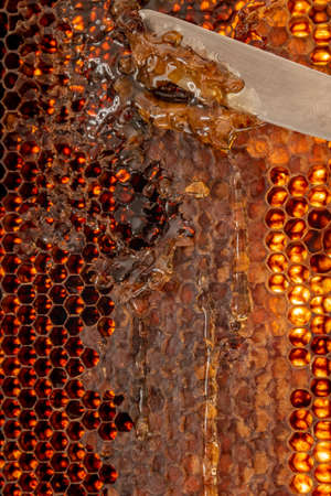 Close up of honeycomb with honey