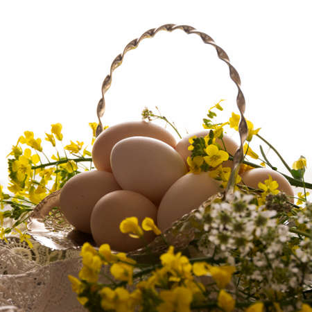 Hen eggs in a silver basketの写真素材