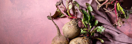 Purple beetroot at the tableの写真素材