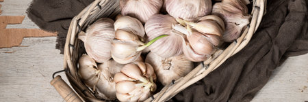 Close up view of sprouted dry garlic, healthy food ingredient, agricultural food harvestの写真素材