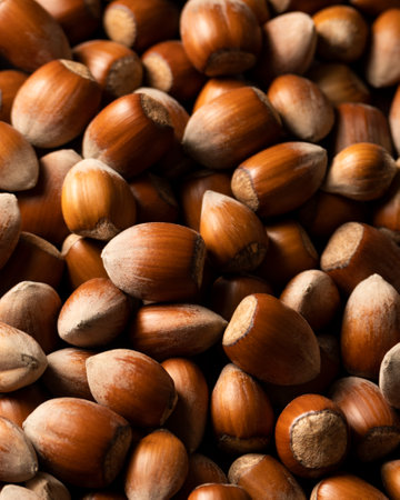 close up of a pile of hazelnuts as background. macroの写真素材