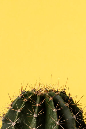Close up view of green barrel cactus, against yellow background with space for text
