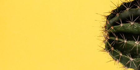 Close up view of green barrel cactus, against yellow background with space for textの写真素材