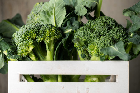 Fresh raw broccoli on table. Healthy vegetable ingredientsの写真素材