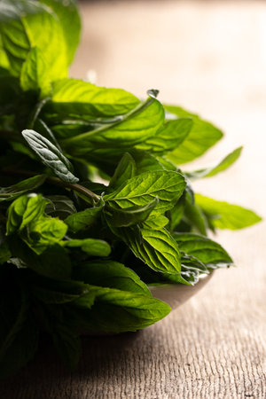 Freshly picked mint, aromatic herbs on the tableの写真素材
