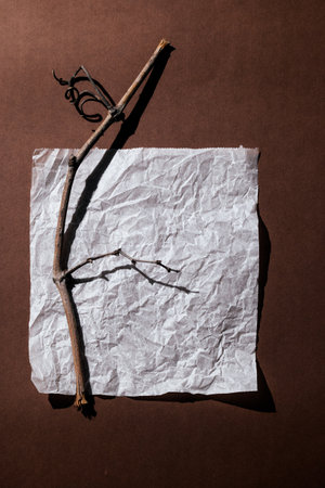 Warm brown background with a white sheet of paper and a dry vine branch. Top view, cozy minimal style in vintage warm colors, space for text.の写真素材