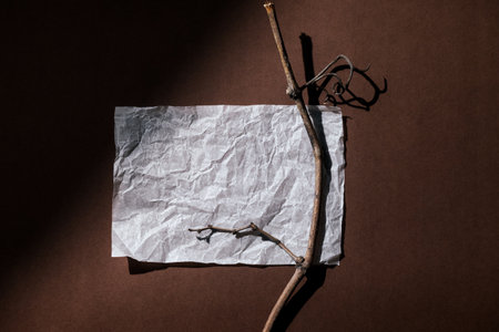 Warm brown background with a white sheet of paper and a dry vine branch. Top view, cozy minimal style in vintage warm colors, space for text.の写真素材