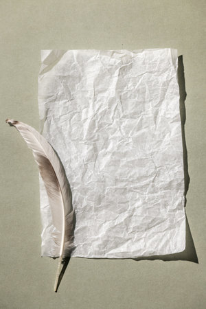 Monochrome background with a blank sheet of paper and a feather. Top view, minimal style, space for text.の写真素材