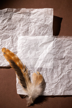 Warm brown background with a blank sheet of paper and a feather. Top view, minimal cozy retro style in warm colors, space for text.の写真素材
