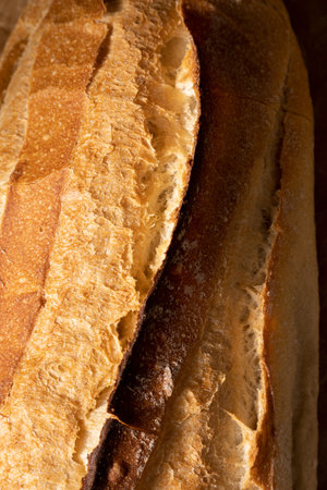 Homemade crusty whole grain bread. Genuine food products.Space for textの写真素材