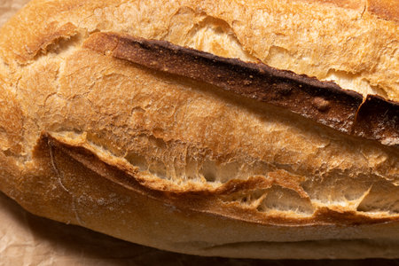 Homemade crusty whole grain bread. Genuine food products.Space for textの写真素材