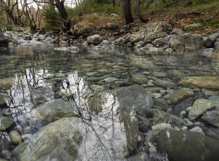 Mountainous rapid river with clear water in the forest in the mountains Dirfys on the island of Evia, Greeceの写真素材