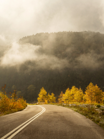 Road in the autumn forest with trees with yellow foliage and clouds on the island of Evia, Greeceの写真素材