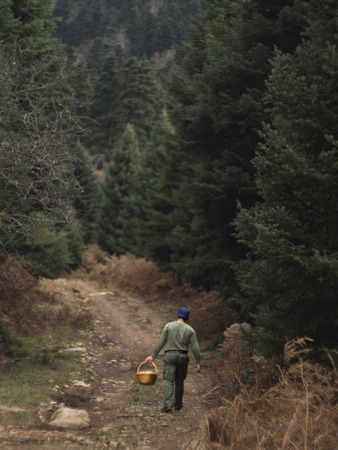 Mushroom pickers with baskets of mushrooms in the mountains in the autumn forest on the island of Evia, Greeceの写真素材