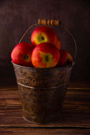 Fruits Crop of the farmの写真素材