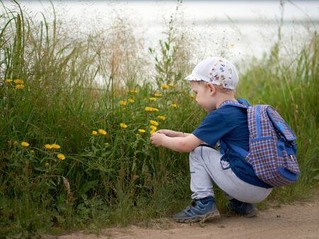 A little boy in summer clothes with a backpack and a cap crouched and looks at wildflowers.の写真素材