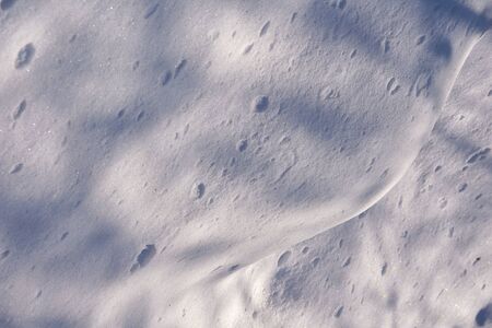 Melted spring snow interspersed with needles and bark in sun glare and intricate shadows.の写真素材