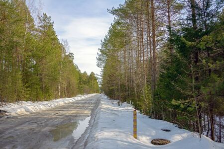 Temporary winter road in puddles of thawed snow among coniferous trees in spring.の写真素材