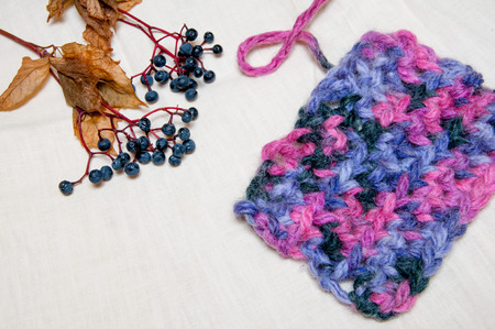 colorful knitting and berries on a white background