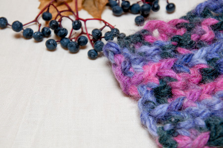colorful knitting and berries on a white backgroundの写真素材