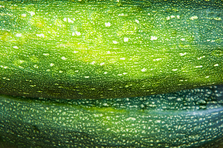 The two green zucchini background with closeupの写真素材