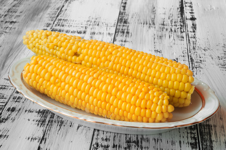 Two delicious yellow corn on a plate on a white wooden backgroundの写真素材
