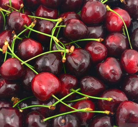 ripe cherryの写真素材