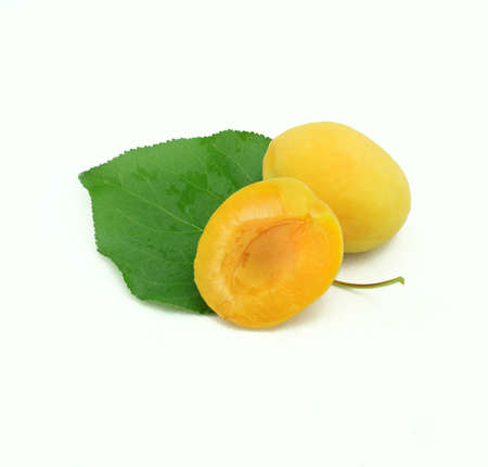 Ripe apricots on a white backgroundの写真素材