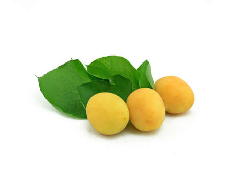 Ripe apricots on a white backgroundの写真素材