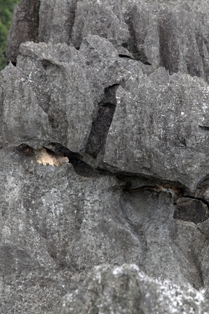 rock pattern in natureの写真素材