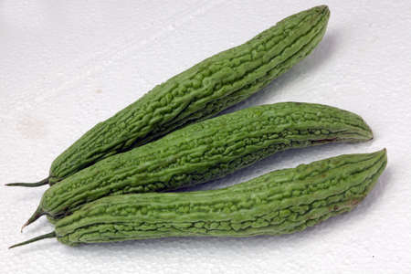 Bitter gourdの写真素材